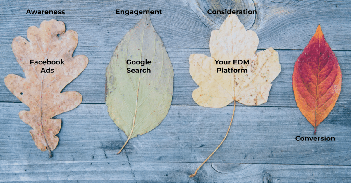 4 leaves on a table representing a user journey: FB ads, Google search, your EDM platform and conversion
